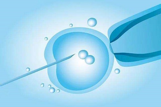 种植怀孕 多少钱一次;怀孕种植很痛苦吗